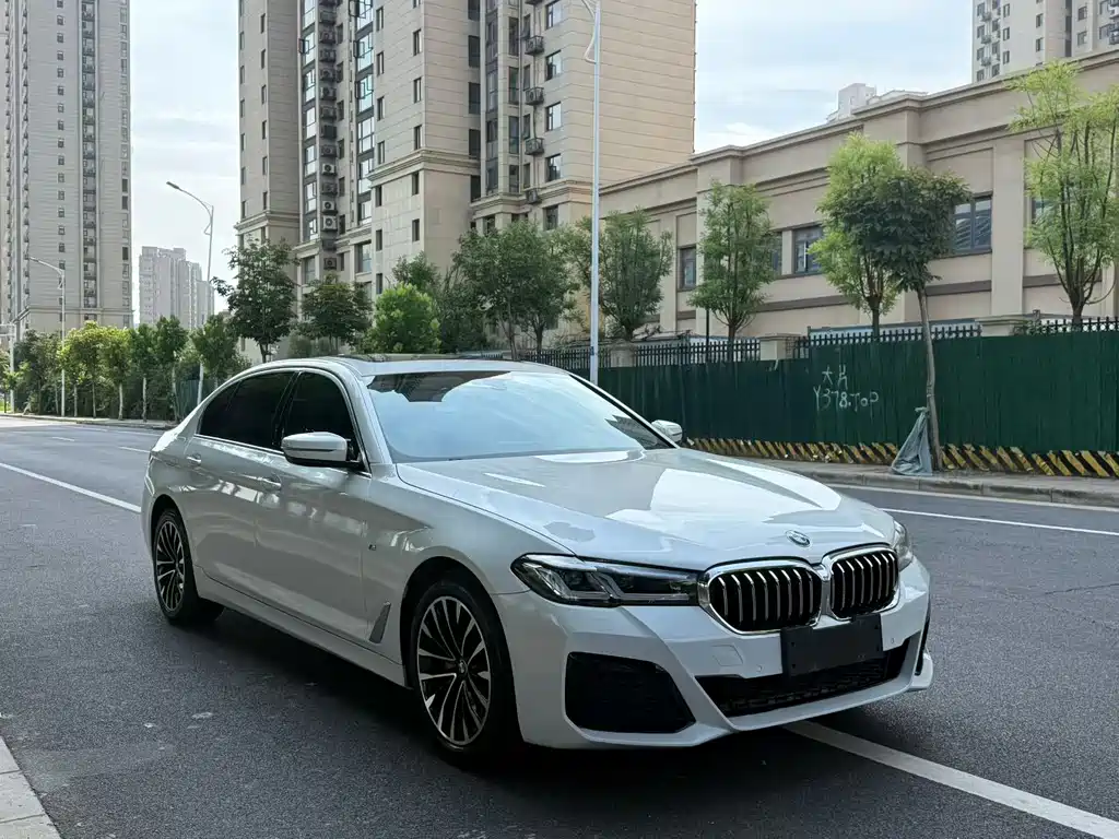 BMW 5 Series — миниатюра 3