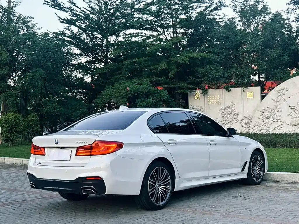 BMW 5 Series 5 2019 530Li xDrive M Sport