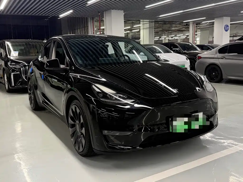 Tesla Model Y — миниатюра 3
