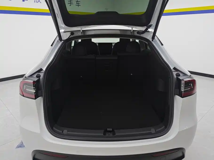 Tesla Model Y — миниатюра 4