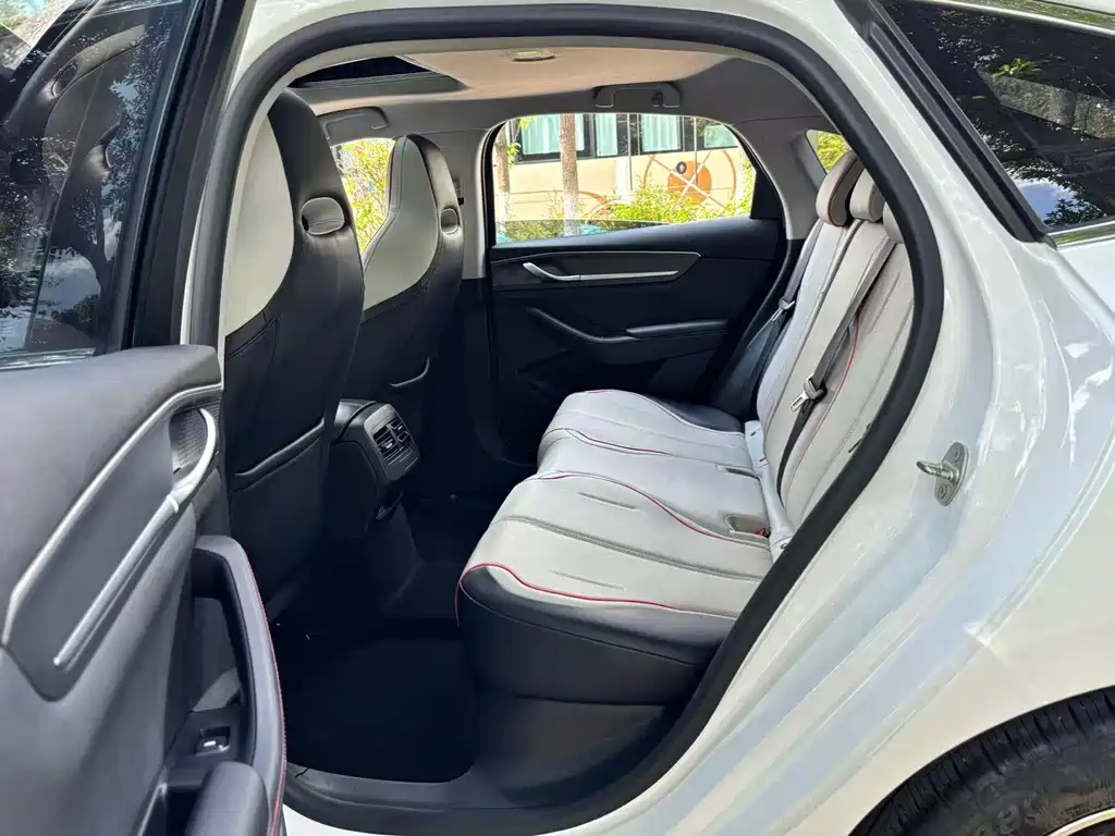 BYD Destroyer 05 2023 Champion DM-i 55KM Luxury