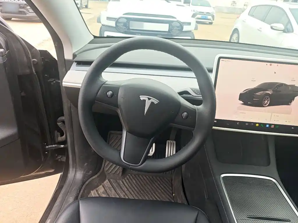 Tesla Model Y — миниатюра 11