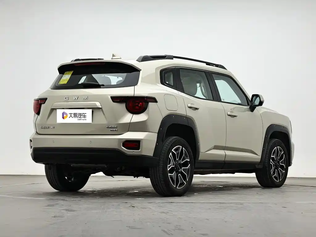 Haval Big Dog PLUS New Energy — миниатюра 3