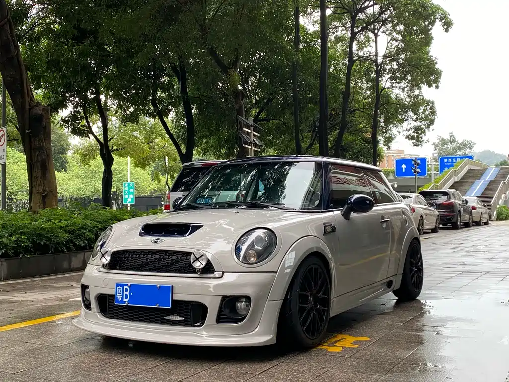 Mini Mini 2010