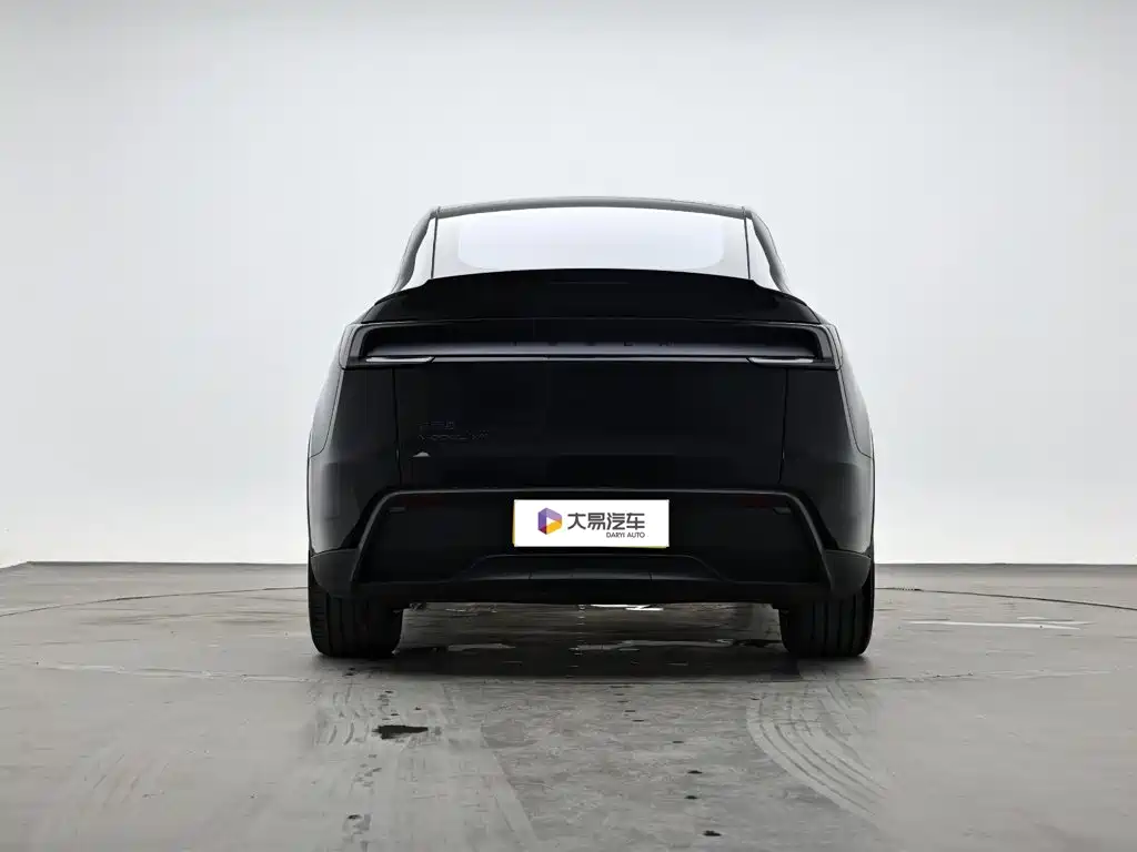 Tesla Model Y L — миниатюра 4