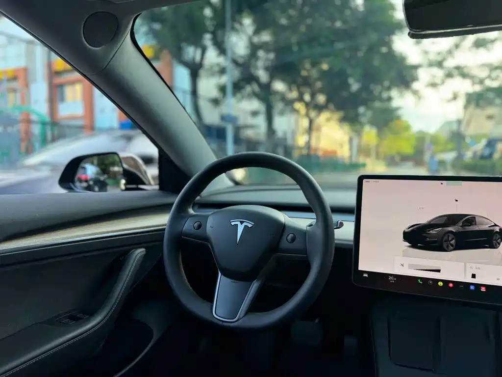 Tesla Model 3 — миниатюра 7