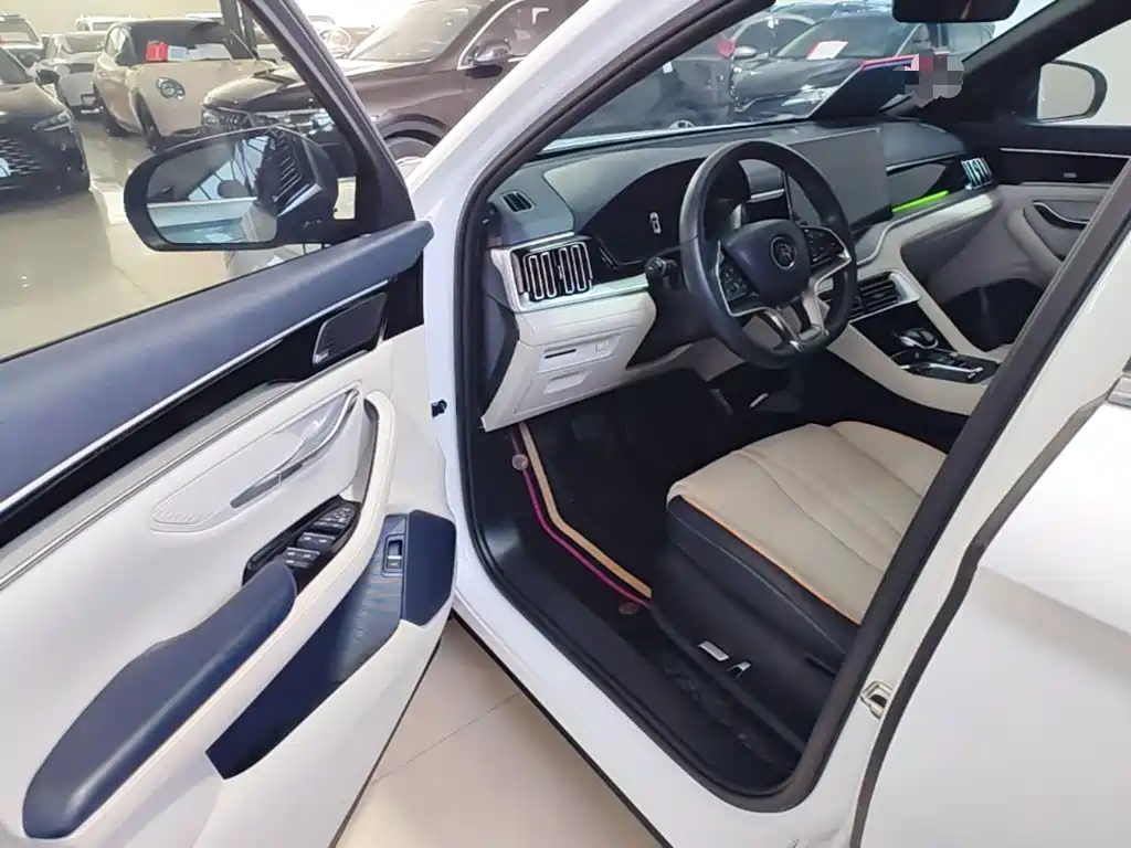 BYD PLUS New Energy — миниатюра 16