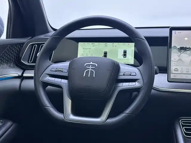 BYD Pro New Energy — миниатюра 11