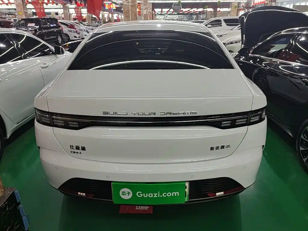 BYD Destroyer 05 — миниатюра 6