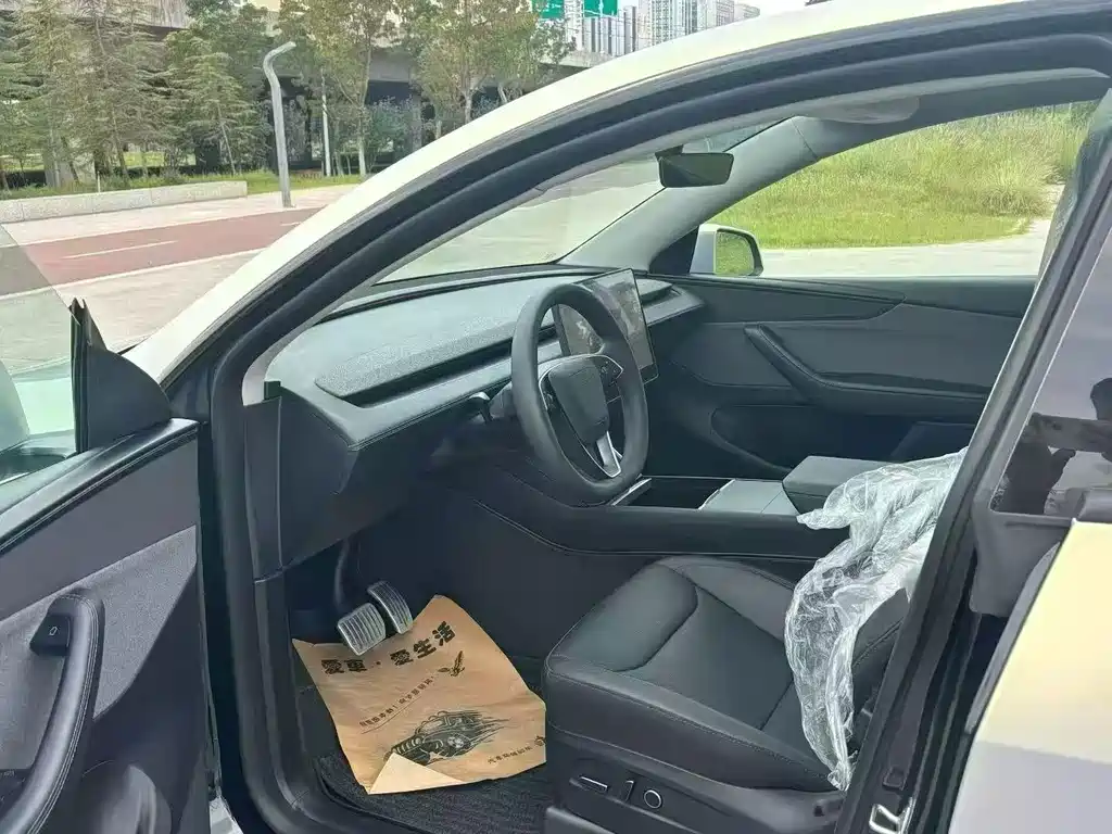 Tesla Model Y — миниатюра 4