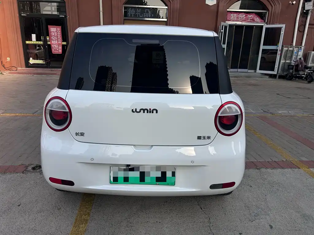 Qiyuan Lumin — миниатюра 6