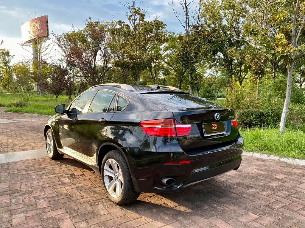 BMW X6 — миниатюра 10