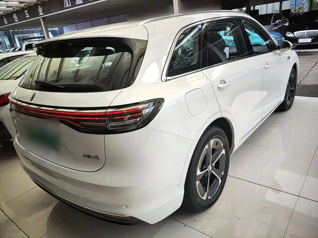 Shangjie Shangjie H5 — миниатюра 7