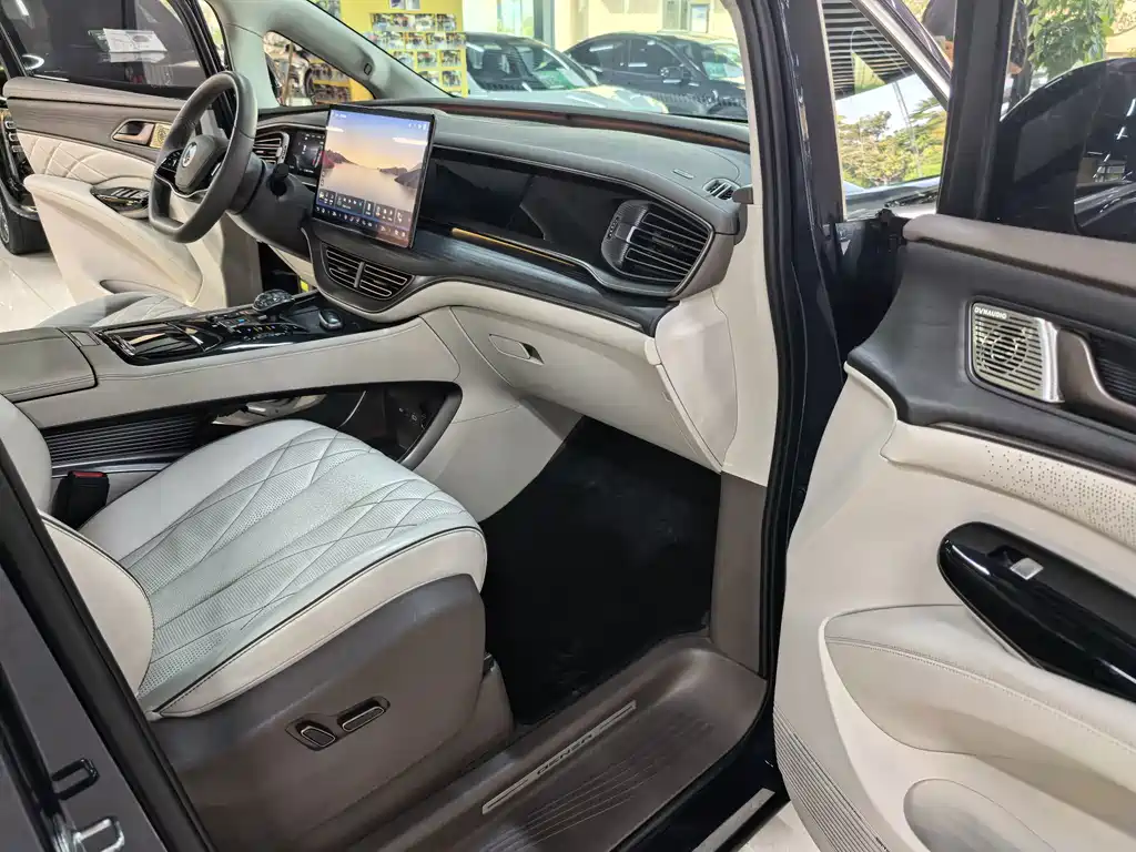 Denza Denza D9 — миниатюра 10