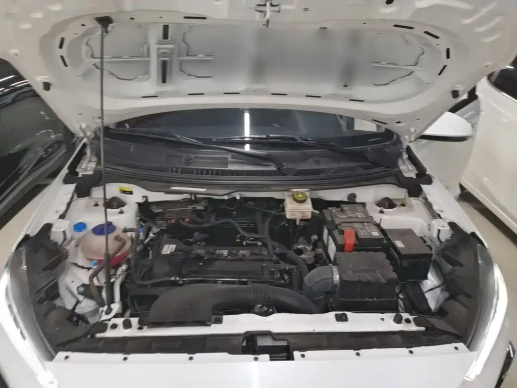 Chery Tiggo 3x — миниатюра 20