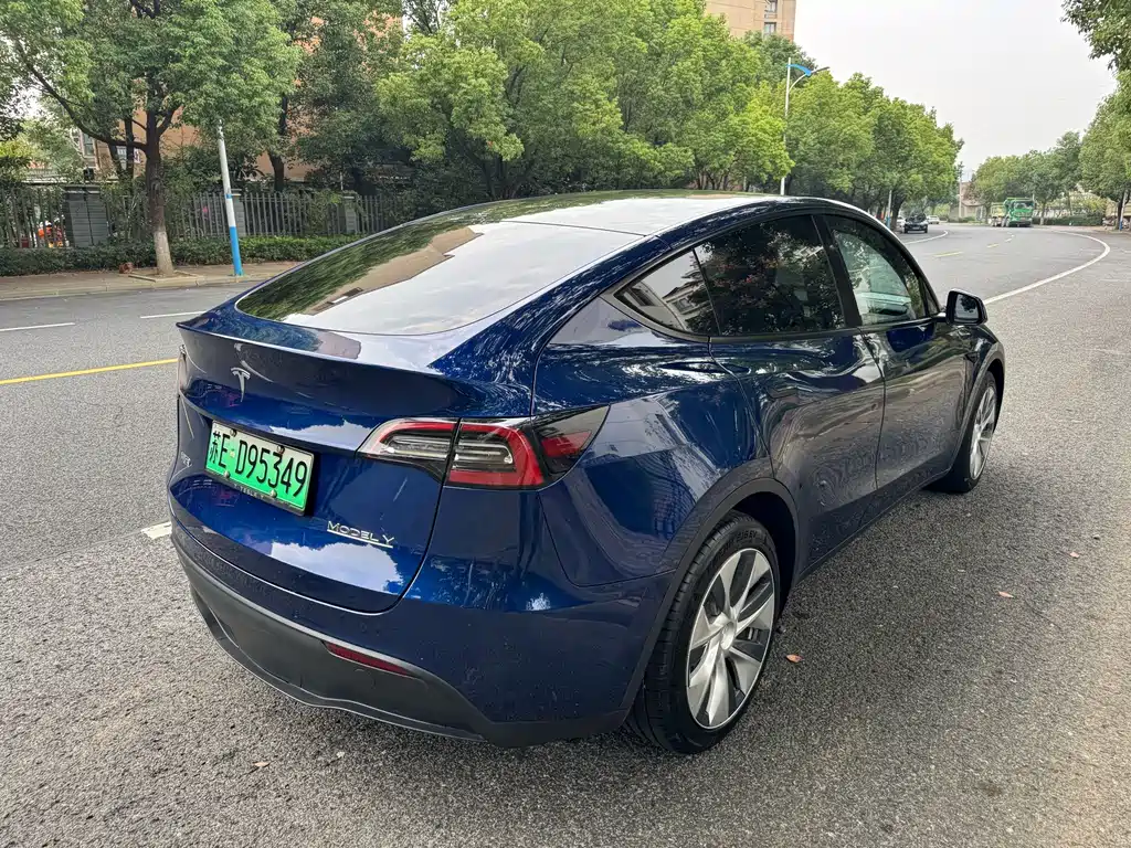 Tesla Model Y — миниатюра 5