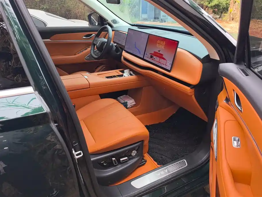 WEI PAI WEI BRAND BLUE MOUNTAIN