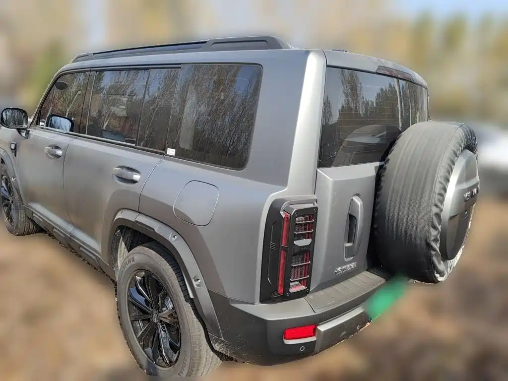 Haval Menglong Petrol — миниатюра 25