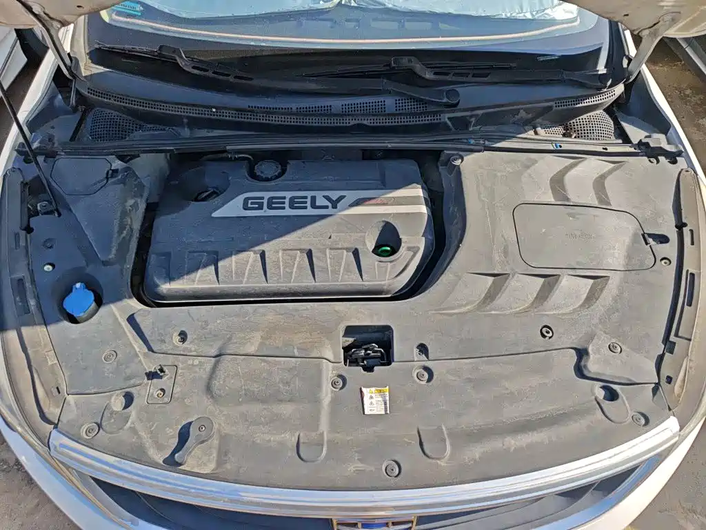 Geely Emgrand GS — миниатюра 11