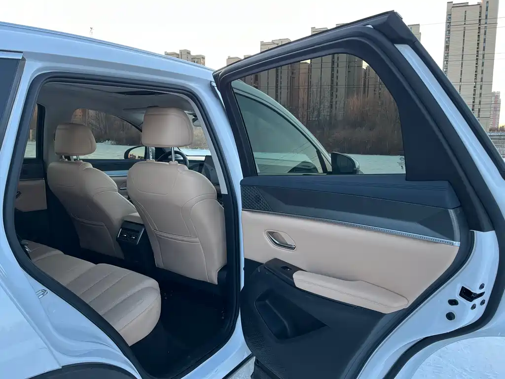 BYD SONGJIANG NEW ENERGY