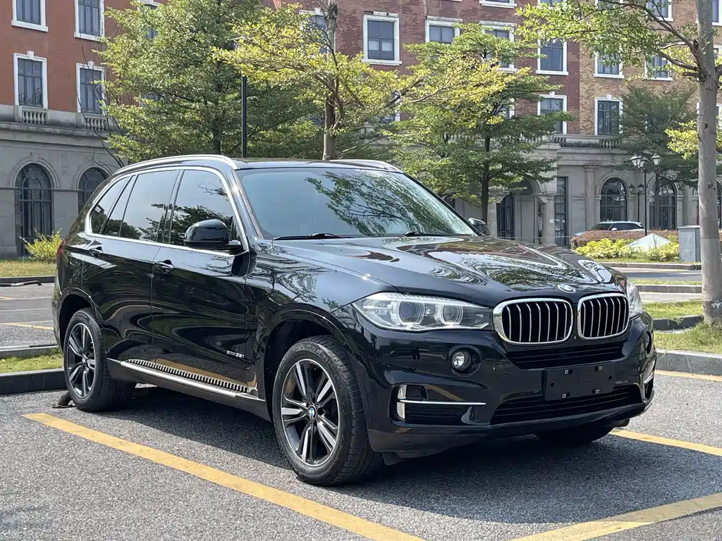 BMW X5 (Import) — миниатюра 3