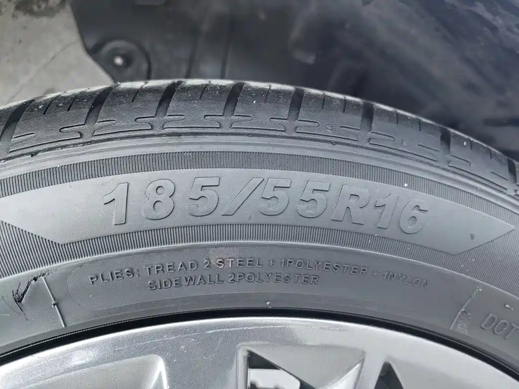 Neta Neta V — миниатюра 24