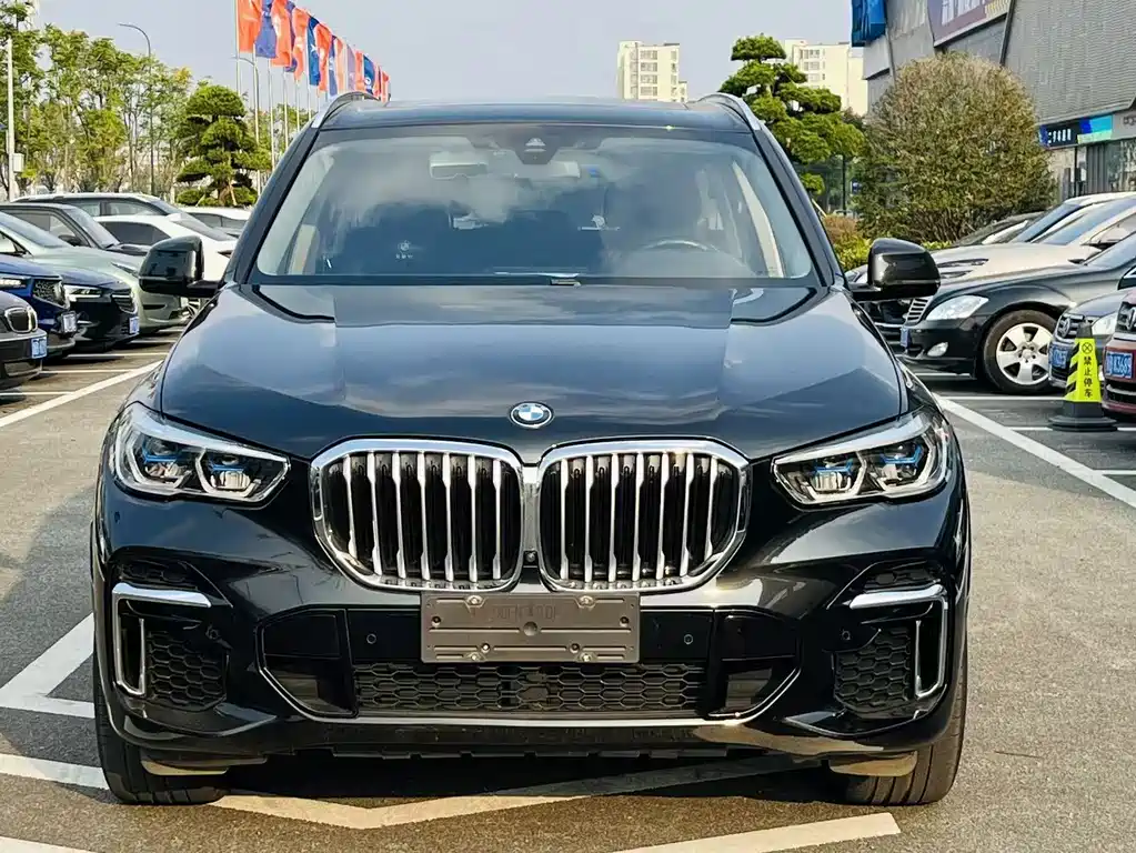 BMW X5 — миниатюра 2