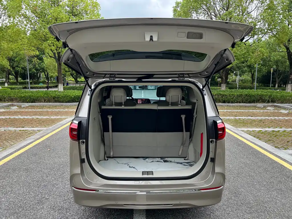 Buick GL8 — миниатюра 17