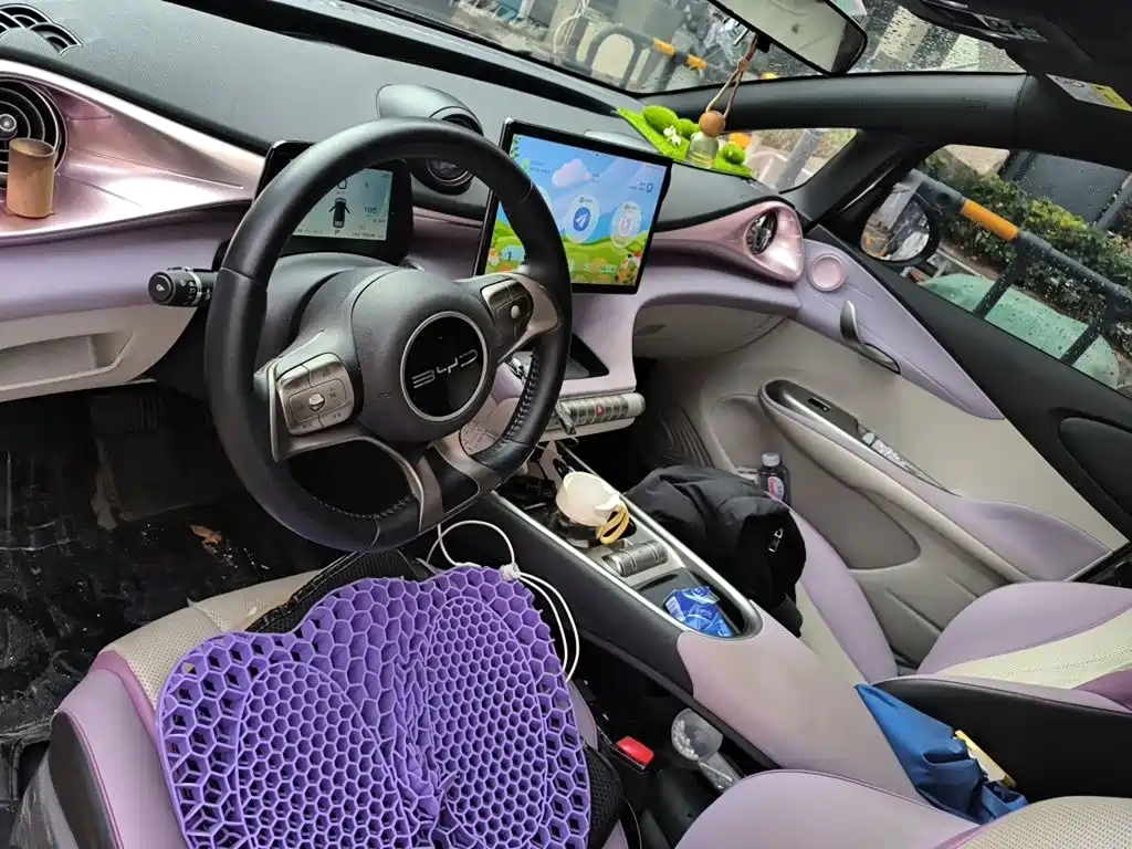 BYD Dolphin — миниатюра 5