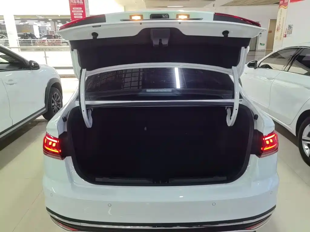 Volkswagen Bora — миниатюра 19
