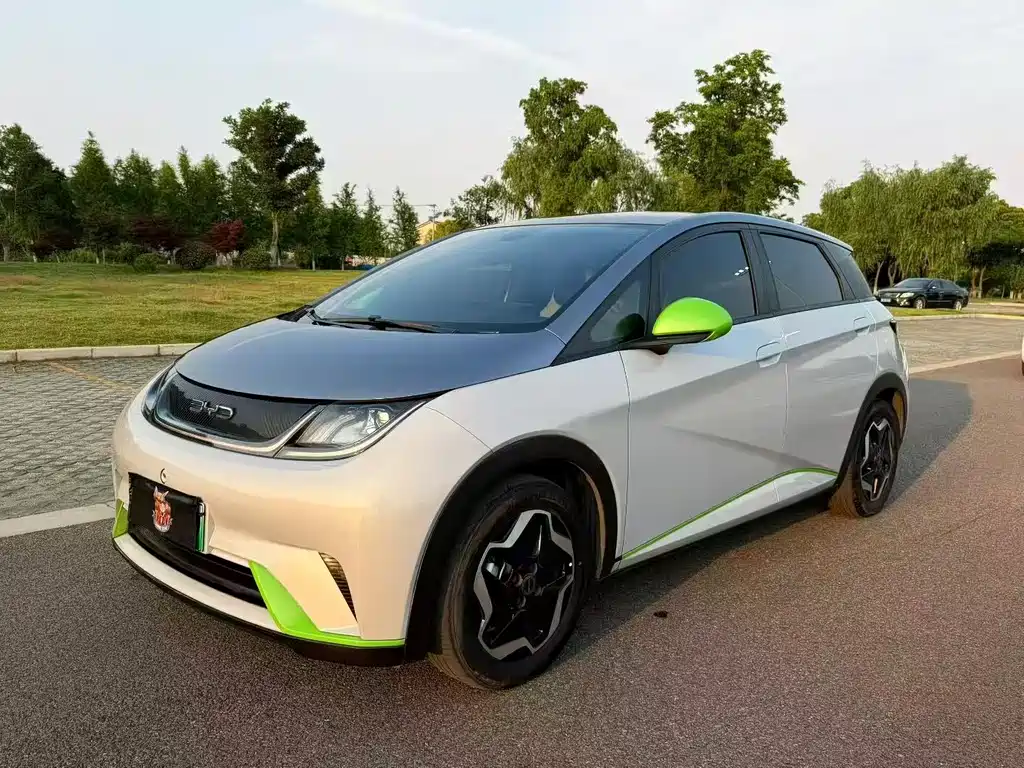 BYD Dolphin — миниатюра 2