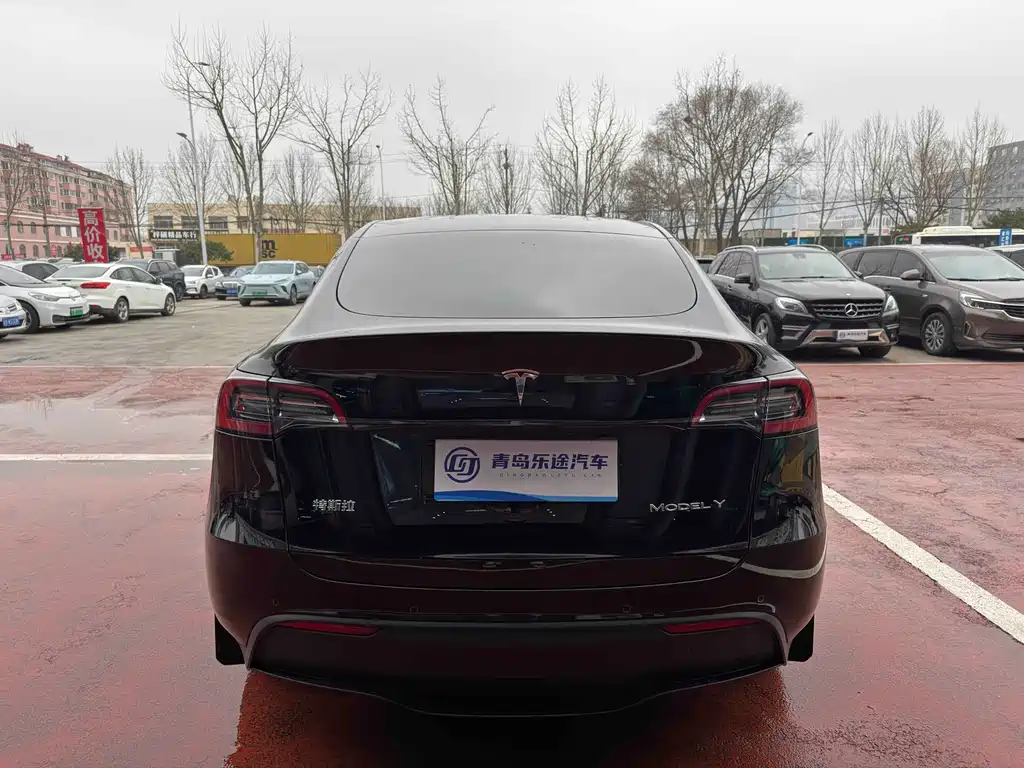 Tesla Model Y — миниатюра 5