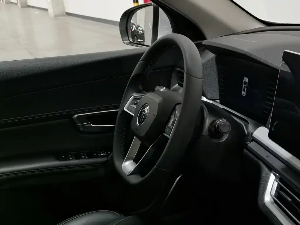 BYD Pro — миниатюра 22
