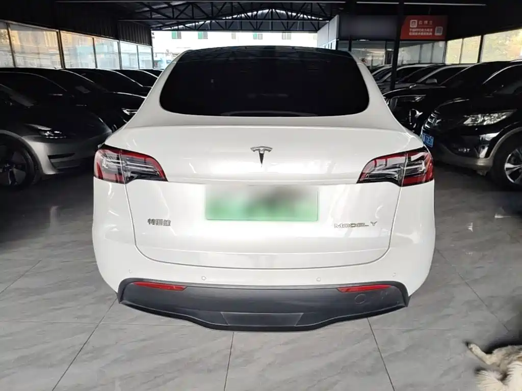 Tesla Model Y — миниатюра 6