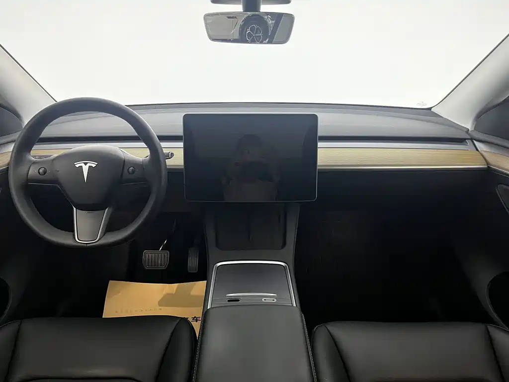 Tesla Model Y — миниатюра 11