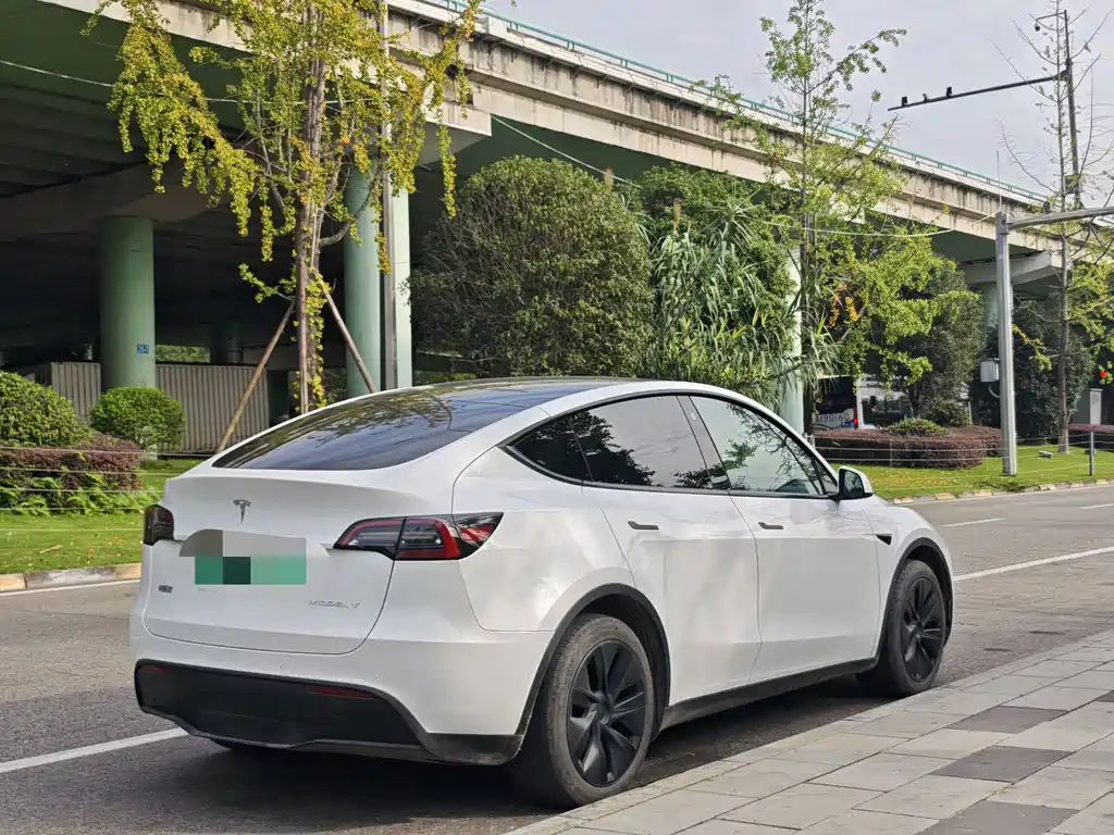 Tesla Model Y — миниатюра 8