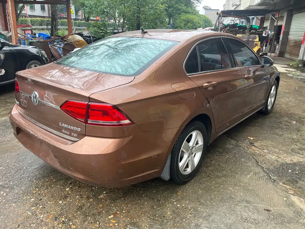 Volkswagen Lamando — миниатюра 7