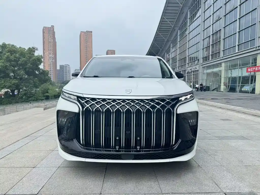 Dongfeng V9 2024 1.5TD 200km Premium