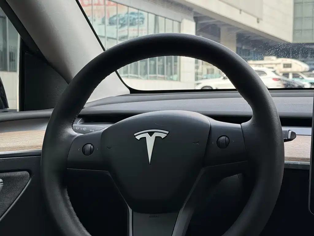 Tesla Model Y — миниатюра 3