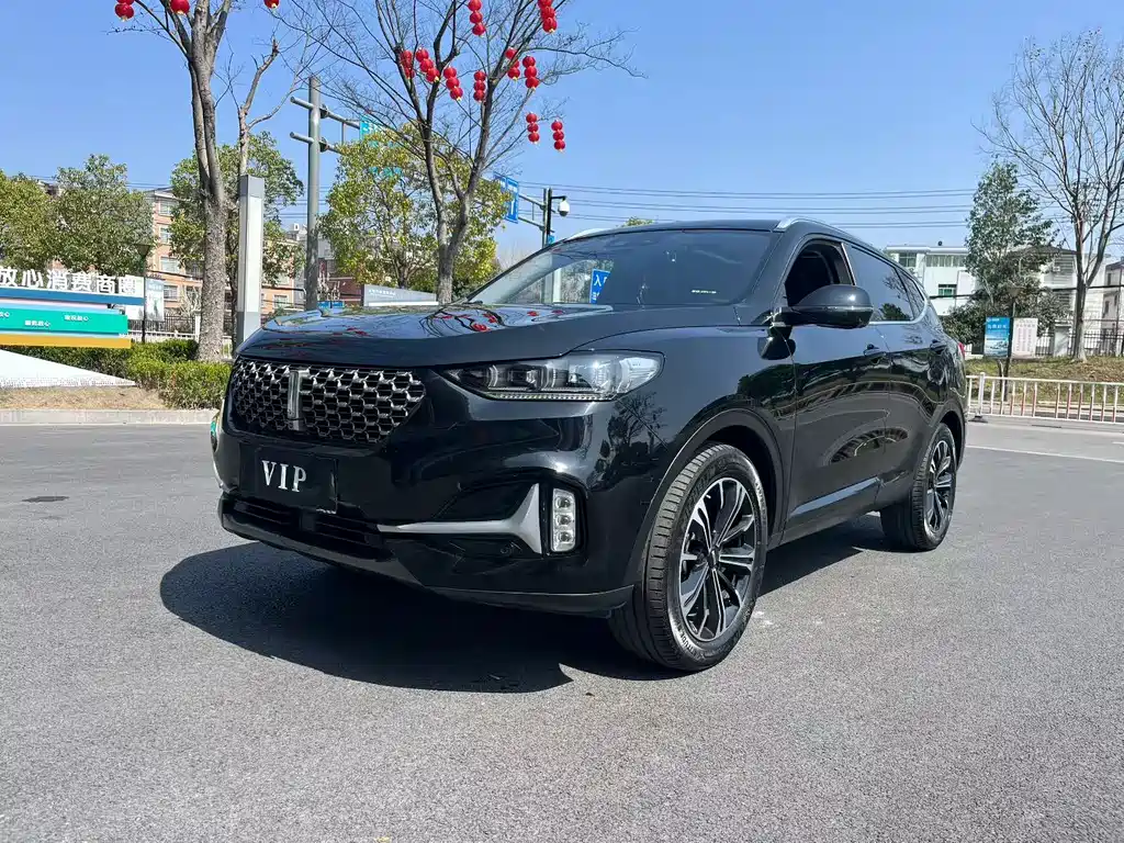 Wey Wey VV6 2021