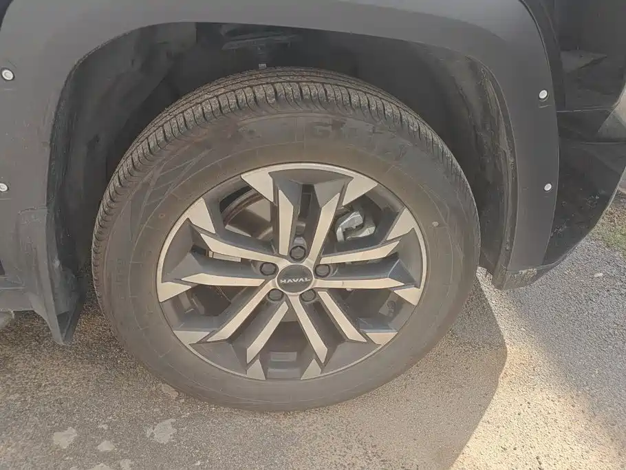 Haval Big Dog PLUS — миниатюра 6