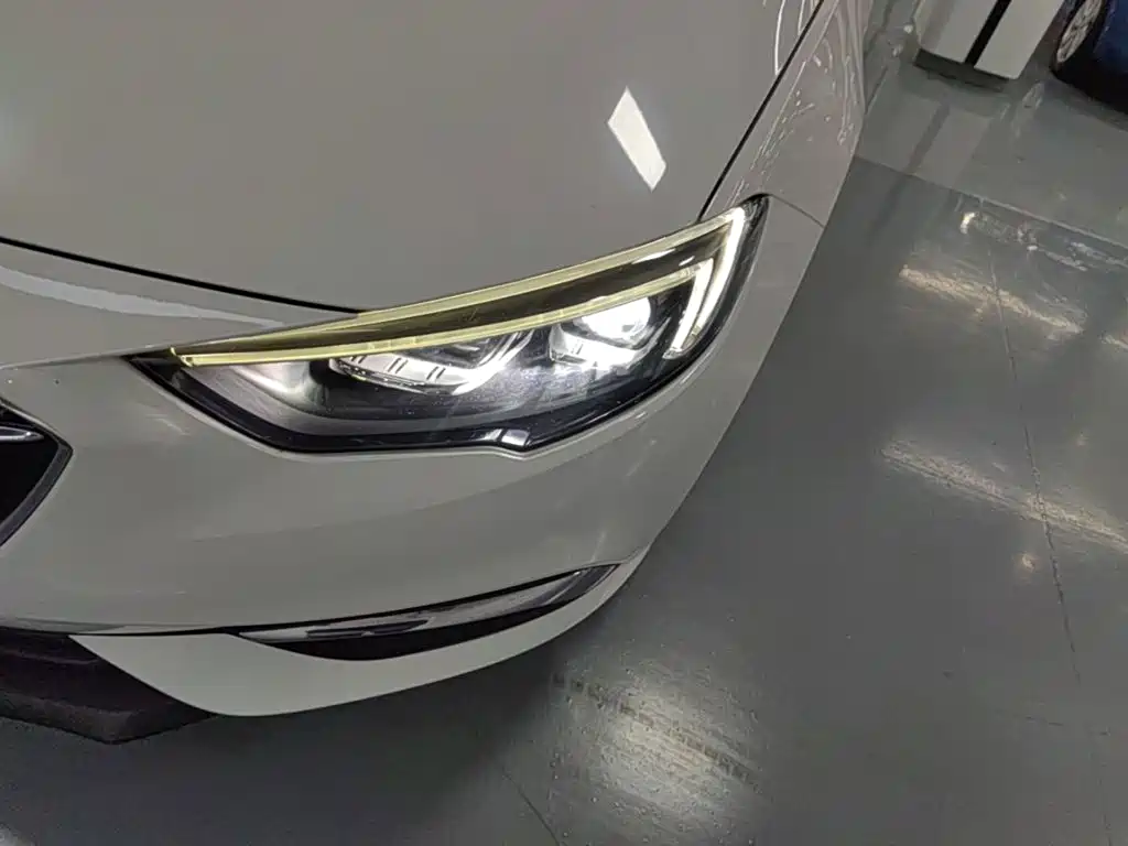 Buick Regal — миниатюра 24