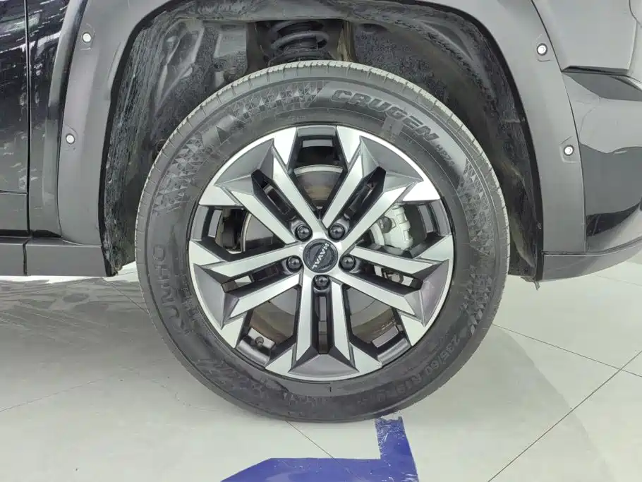 Haval Big Dog PLUS — миниатюра 6
