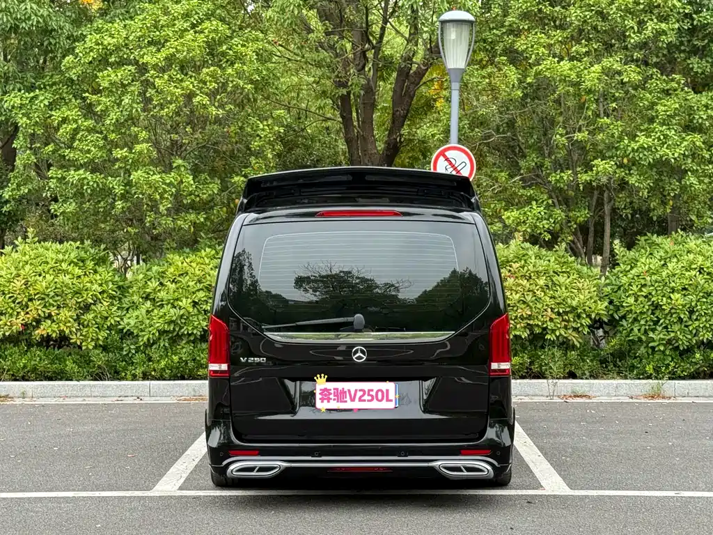 Mercedes-Benz V-Class (Import) — миниатюра 6
