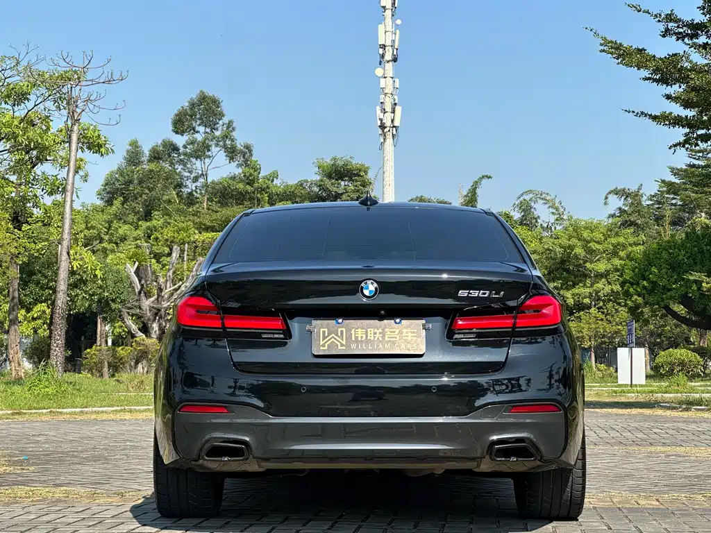 BMW 5 Series — миниатюра 5