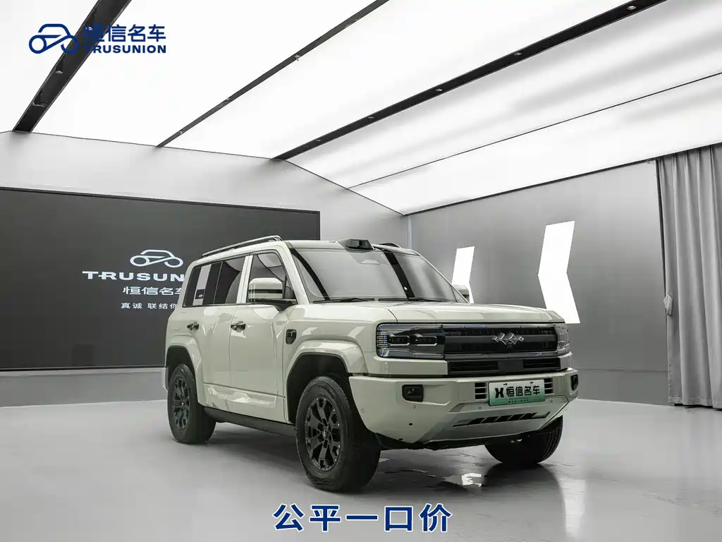 FANG CHENG BAO LEOPARD 5