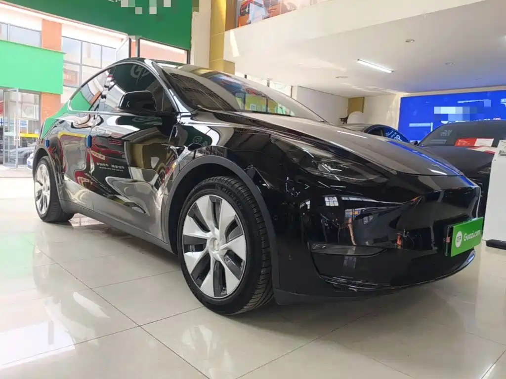Tesla Model Y — миниатюра 4