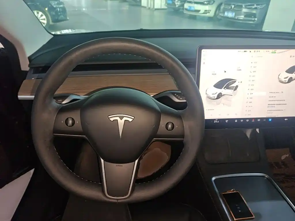 Tesla Model 3 — миниатюра 11