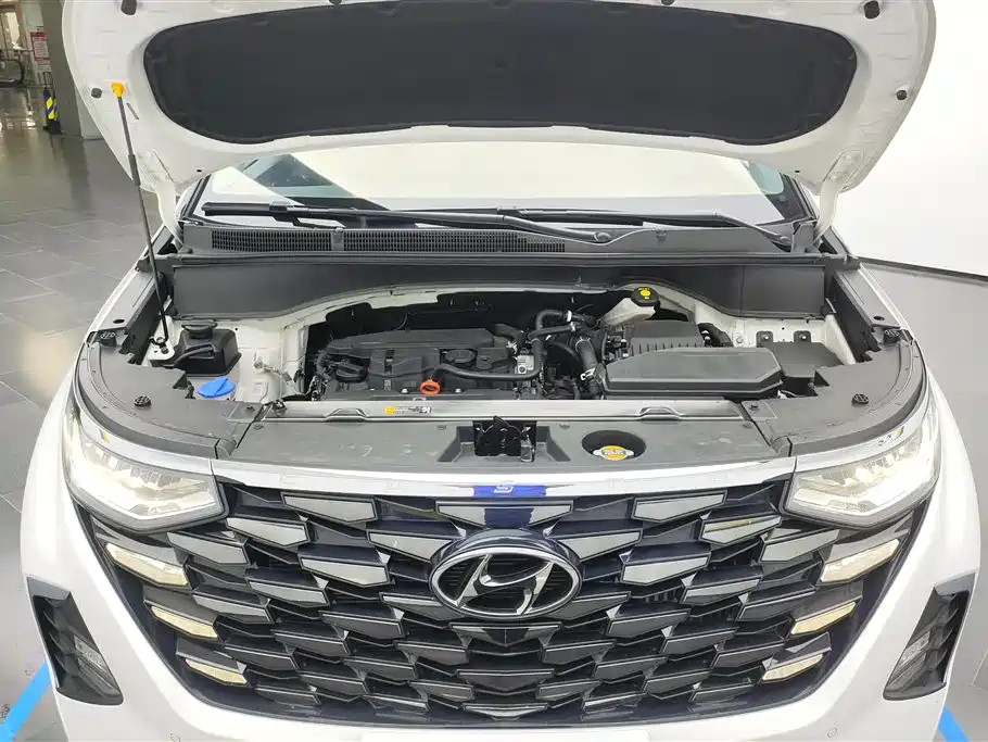 Hyundai Custo 2021 270TGDi Luxury LUX