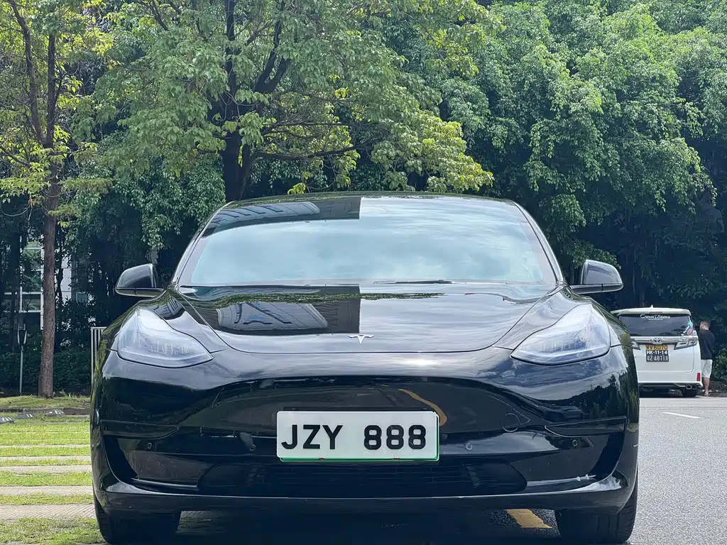 Tesla Model 3 — миниатюра 2